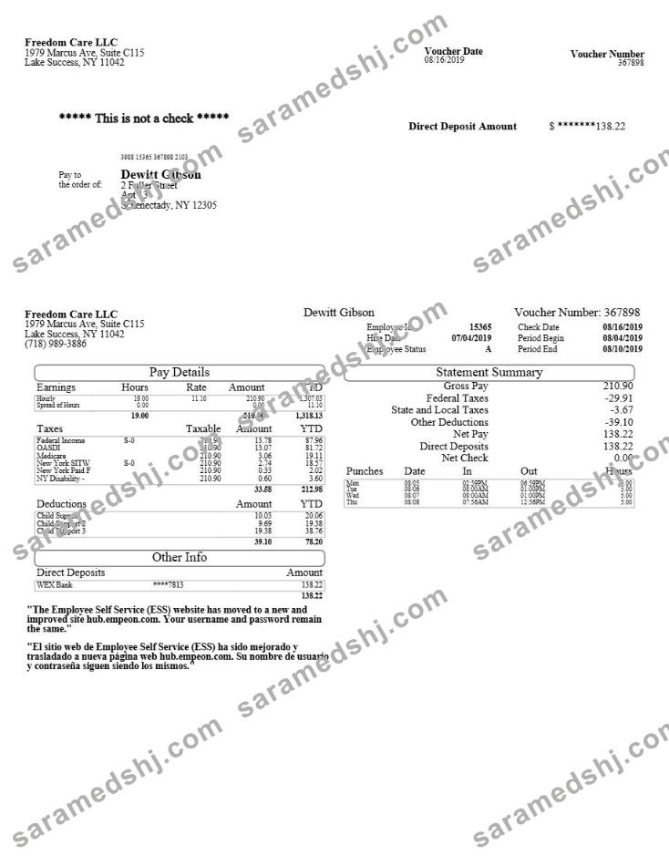 Freedom Care LLC pay stub template in Word and PDF formats.pdf, 1